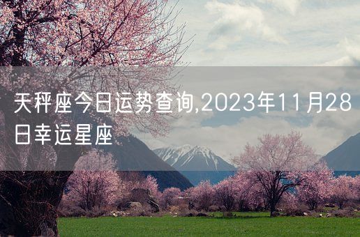 天秤座今日运势查询,2023年11月28日幸运星座(图1)