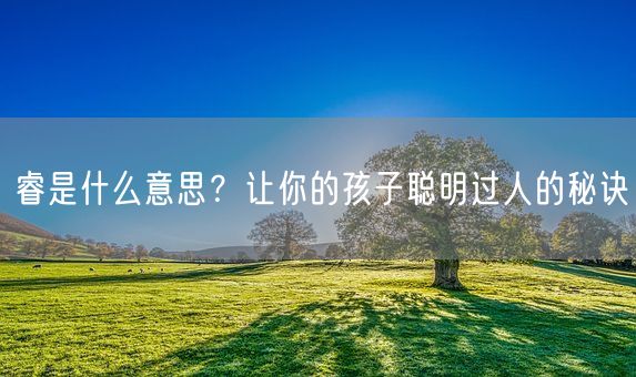 睿是什么意思？让你的孩子聪明过人的秘诀(图1)