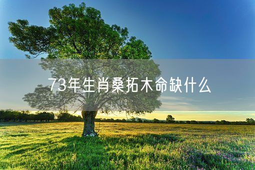 73年生肖桑拓木命缺什么(图1)