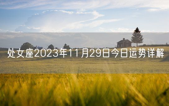 处女座2023年11月29日今日运势详解(图1)