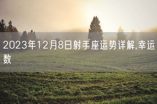 2023年12月8日射手座运势详解,幸运数(图1)