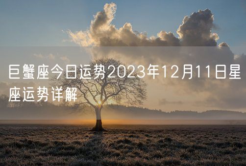 巨蟹座今日运势2023年12月11日星座运势详解(图1)