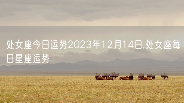 处女座今日运势2023年12月14日,处女座每日星座运势(图1)