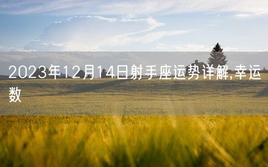 2023年12月14日射手座运势详解,幸运数(图1)