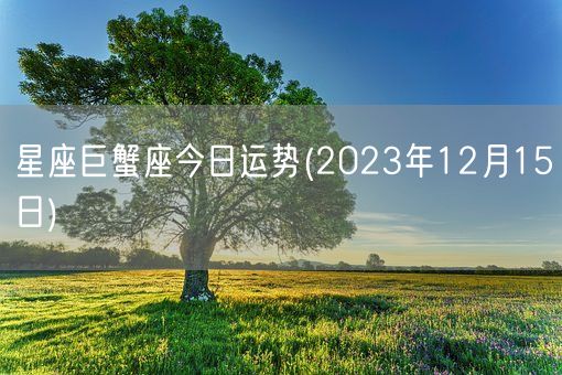 星座巨蟹座今日运势(2023年12月15日) (图1)