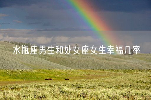 水瓶座男生和处女座女生幸福几率(图1)