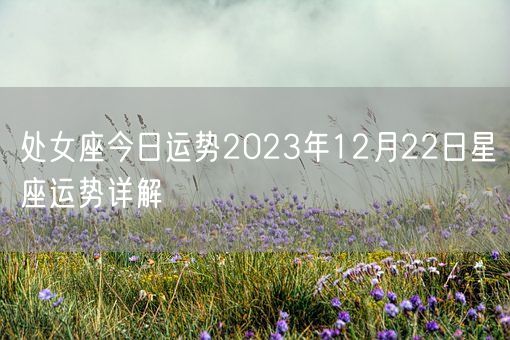 处女座今日运势2023年12月22日星座运势详解(图1)