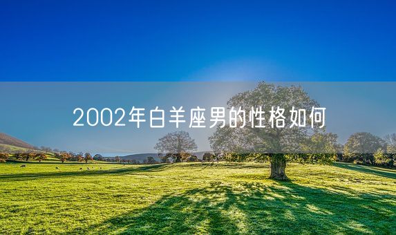 2002年白羊座男的性格如何(图1)