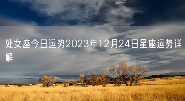 处女座今日运势2023年12月24日星座运势详解(图1)