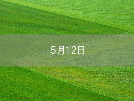 5月12日(图1) 5月12日(图1)