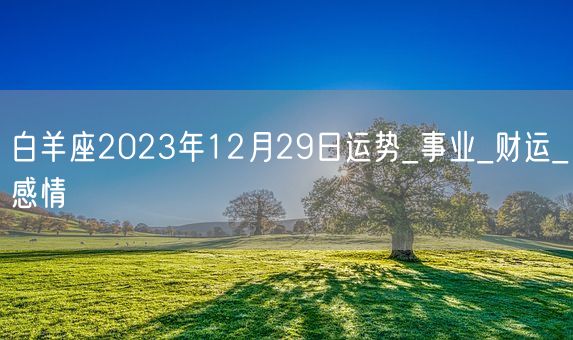 白羊座2023年12月29日运势_事业_财运_感情(图1)