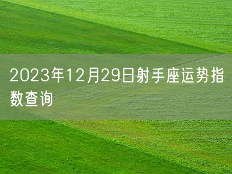 2023年12月29日射手座运势指数查询(图1)