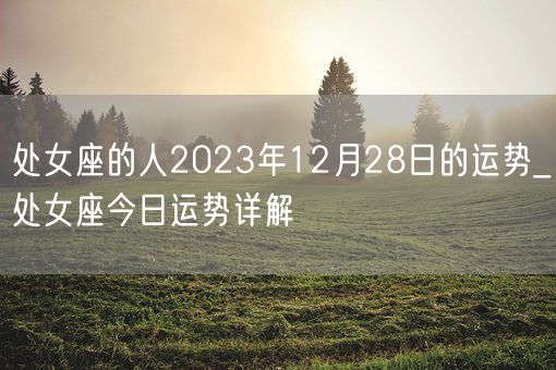 处女座的人2023年12月28日的运势_处女座今日运势详解(图1)