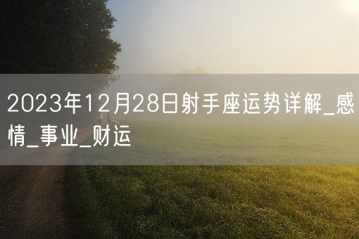 2023年12月28日射手座运势详解_感情_事业_财运(图1)