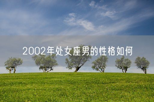 2002年处女座男的性格如何(图1)