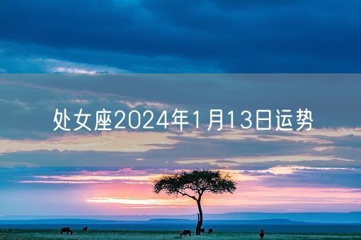 处女座2024年1月13日运势(图1)