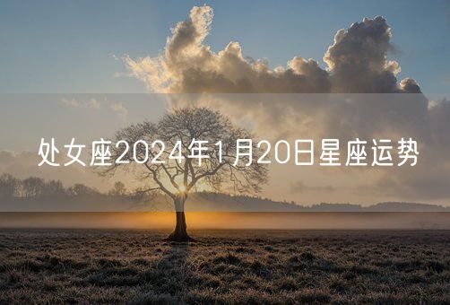 处女座2024年1月20日星座运势(图1)