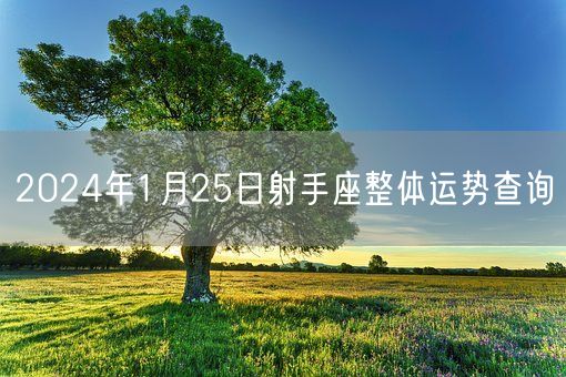 2024年1月25日射手座整体运势查询(图1)