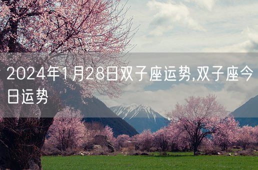 2024年1月28日双子座运势,双子座今日运势(图1)