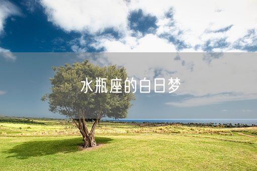 水瓶座的白日梦(图1)