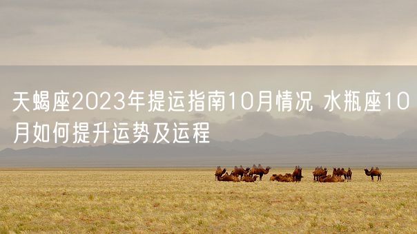 天蝎座2023年提运指南10月情况 水瓶座10月如何提升运势及运程(图1)