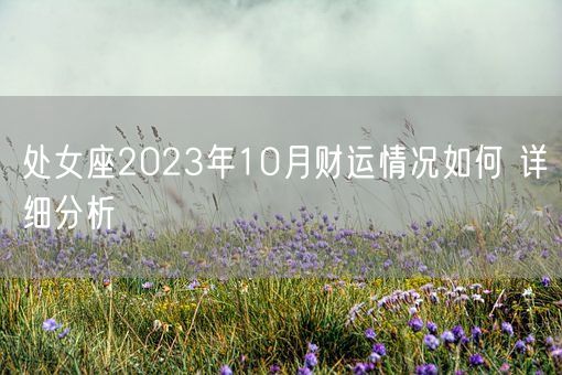 处女座2023年10月财运情况如何 详细分析(图1)