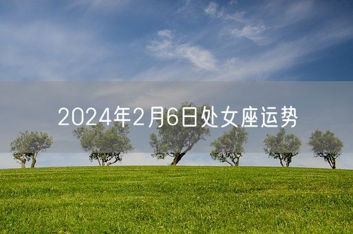 2024年2月6日处女座运势(图1)