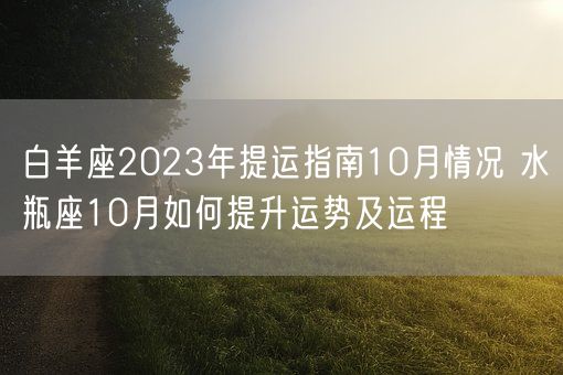 白羊座2023年提运指南10月情况 水瓶座10月如何提升运势及运程(图1) 白羊座2023年提运指南10月情况 水瓶座10月如何提升运势及运程(图1)