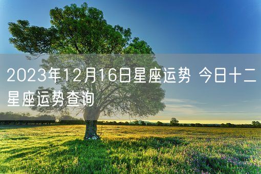 2023年12月16日星座运势 今日十二星座运势查询(图1)