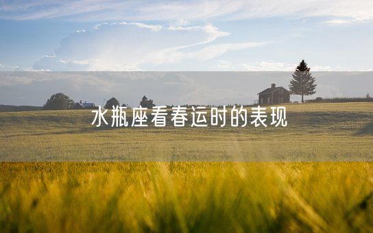 水瓶座看春运时的表现(图1)