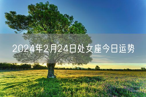2024年2月24日处女座今日运势(图1)