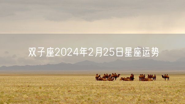 双子座2024年2月25日星座运势(图1)