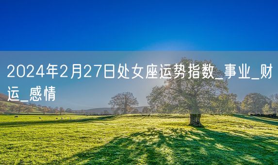 2024年2月27日处女座运势指数_事业_财运_感情(图1)