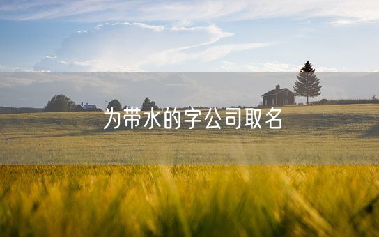 为带水的字公司取名(图1)