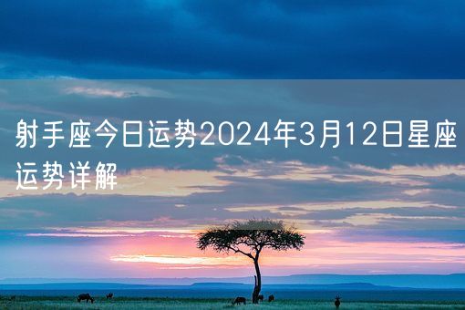 射手座今日运势2024年3月12日星座运势详解(图1)