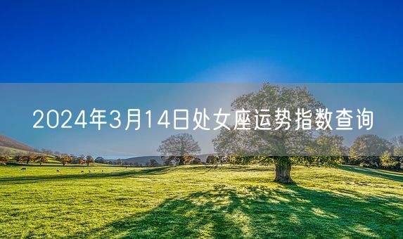 2024年3月14日处女座运势指数查询(图1)