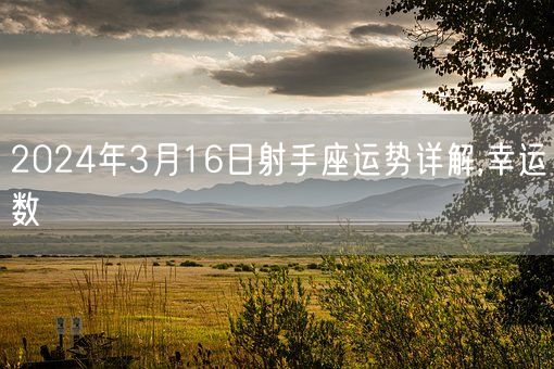 2024年3月16日射手座运势详解,幸运数(图1)
