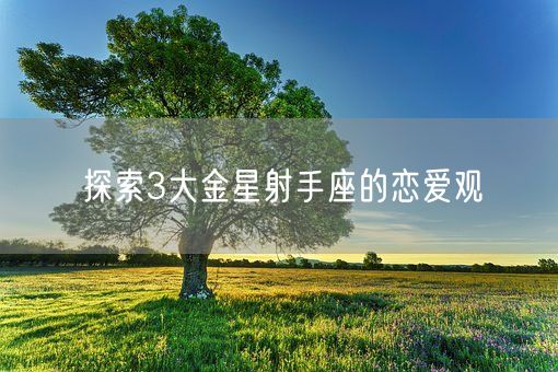 探索3大金星射手座的恋爱观(图1)