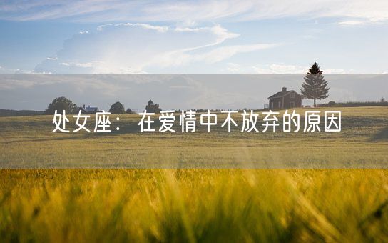 处女座：在爱情中不放弃的原因(图1)