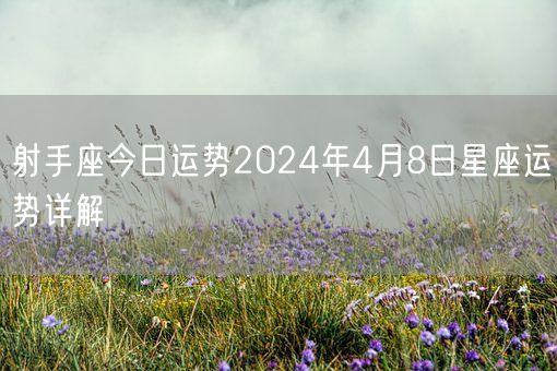 射手座今日运势2024年4月8日星座运势详解(图1)