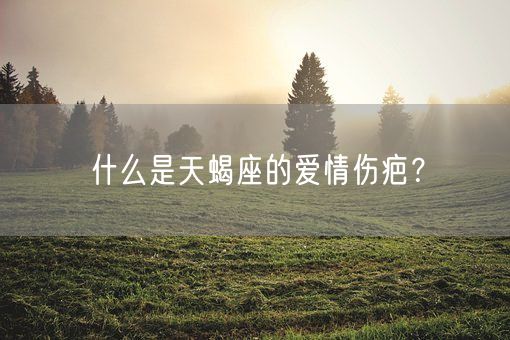 什么是天蝎座的爱情伤疤？(图1)