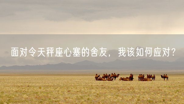 面对令天秤座心塞的舍友，我该如何应对？(图1)