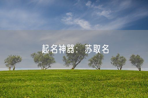 起名神器：苏取名(图1)