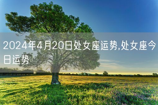 2024年4月20日处女座运势,处女座今日运势(图1)