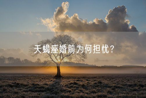 天蝎座婚前为何担忧？(图1)