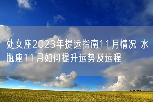 处女座2023年提运指南11月情况 水瓶座11月如何提升运势及运程(图1)