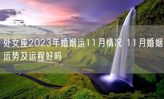 处女座2023年婚姻运11月情况 11月婚姻运势及运程好吗(图1)