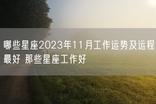 哪些星座2023年11月工作运势及运程最好 那些星座工作好(图1)