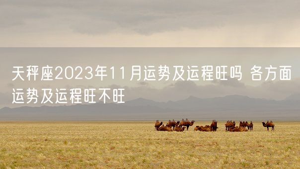 天秤座2023年11月运势及运程旺吗 各方面运势及运程旺不旺(图1)