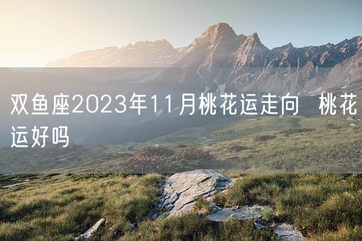 双鱼座2023年11月桃花运走向  桃花运好吗(图1)